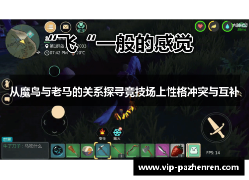 从魔鸟与老马的关系探寻竞技场上性格冲突与互补