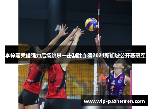 李梓嘉凭借强力后场跳杀一击制胜夺得2024新加坡公开赛冠军