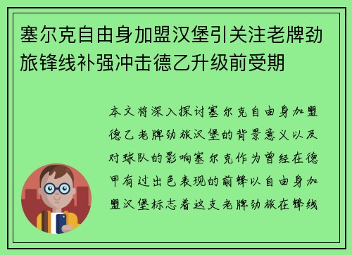 塞尔克自由身加盟汉堡引关注老牌劲旅锋线补强冲击德乙升级前受期 塞尔克自由身加盟汉堡引关注老牌劲旅锋线补强冲击德乙升级前受期