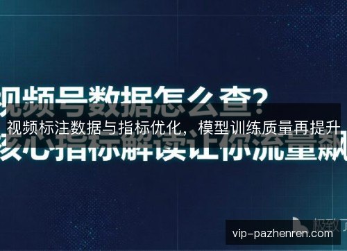 视频标注数据与指标优化,模型训练质量再提升 视频标注数据与指标优化,模型训练质量再提升